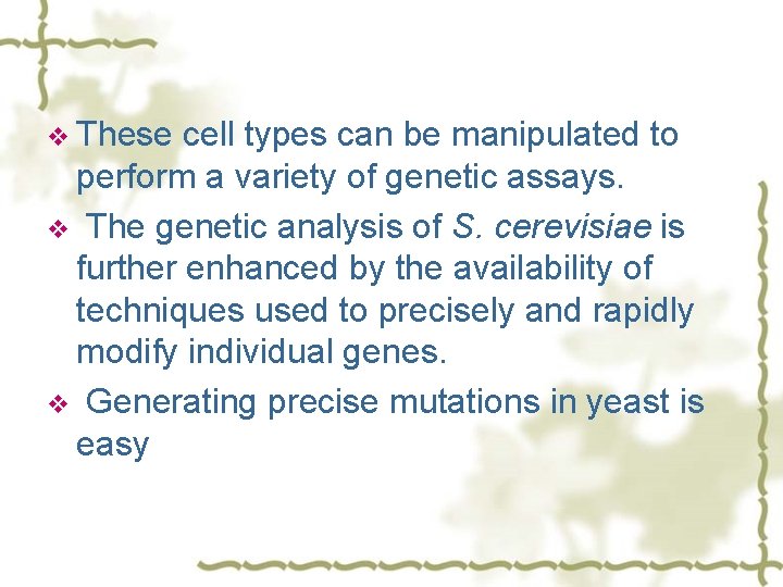 v These cell types can be manipulated to perform a variety of genetic assays.