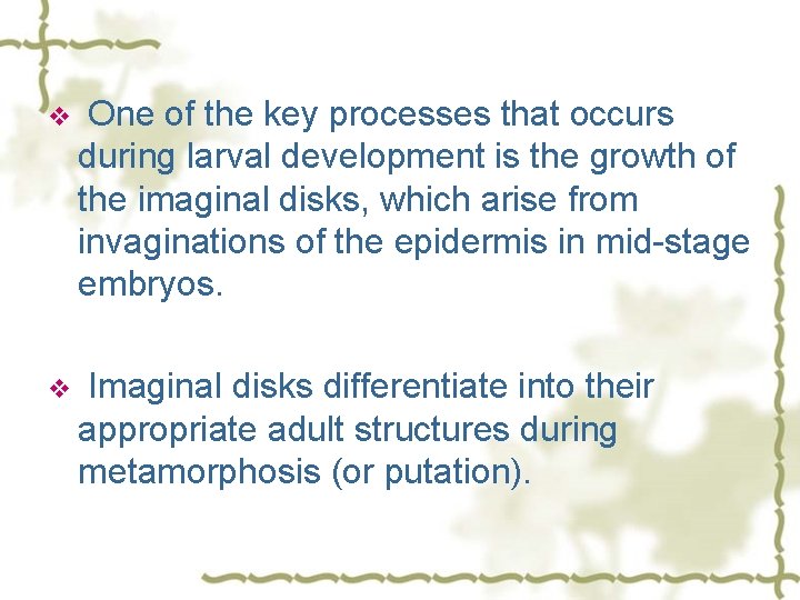 v One of the key processes that occurs during larval development is the growth