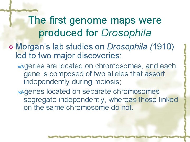 The first genome maps were produced for Drosophila v Morgan’s lab studies on Drosophila