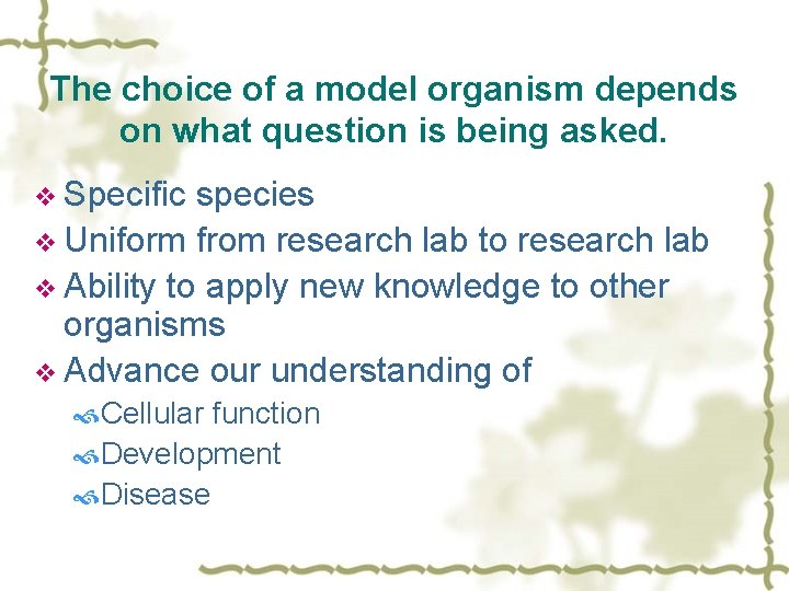 The choice of a model organism depends on what question is being asked. v