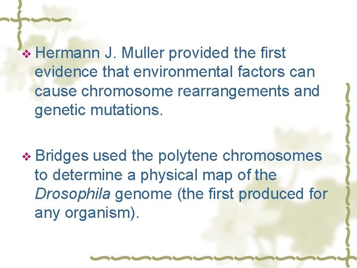 v Hermann J. Muller provided the first evidence that environmental factors can cause chromosome