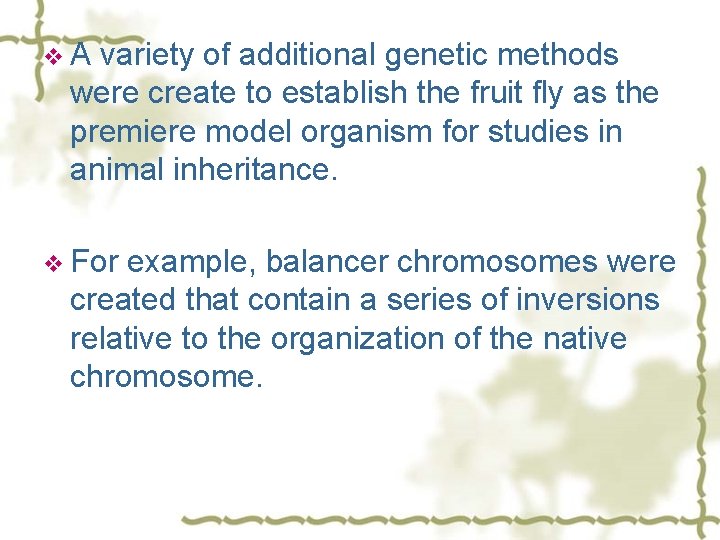 v. A variety of additional genetic methods were create to establish the fruit fly