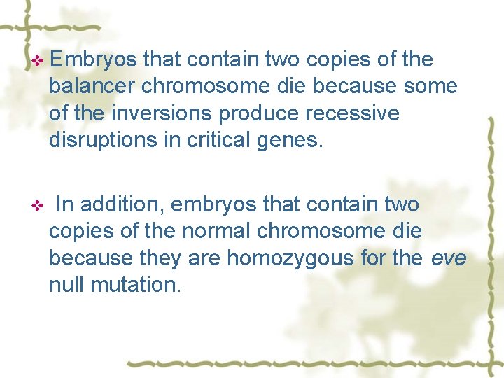 v Embryos that contain two copies of the balancer chromosome die because some of