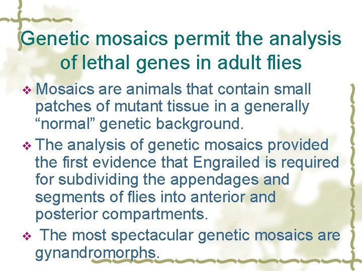 Genetic mosaics permit the analysis of lethal genes in adult flies v Mosaics are
