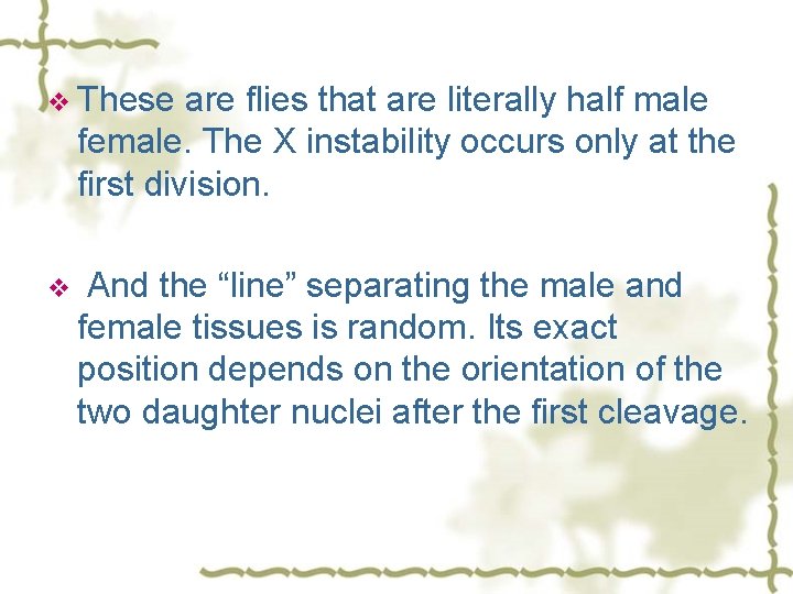 v These are flies that are literally half male female. The X instability occurs
