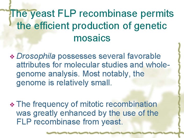 The yeast FLP recombinase permits the efficient production of genetic mosaics v Drosophila possesses