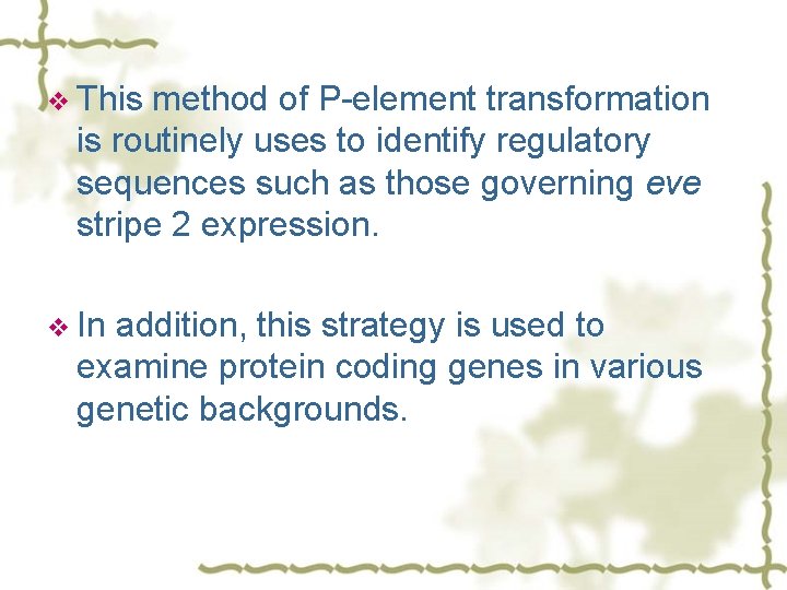 v This method of P-element transformation is routinely uses to identify regulatory sequences such