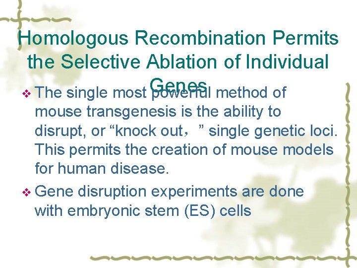 Homologous Recombination Permits the Selective Ablation of Individual v The single most Genes powerful