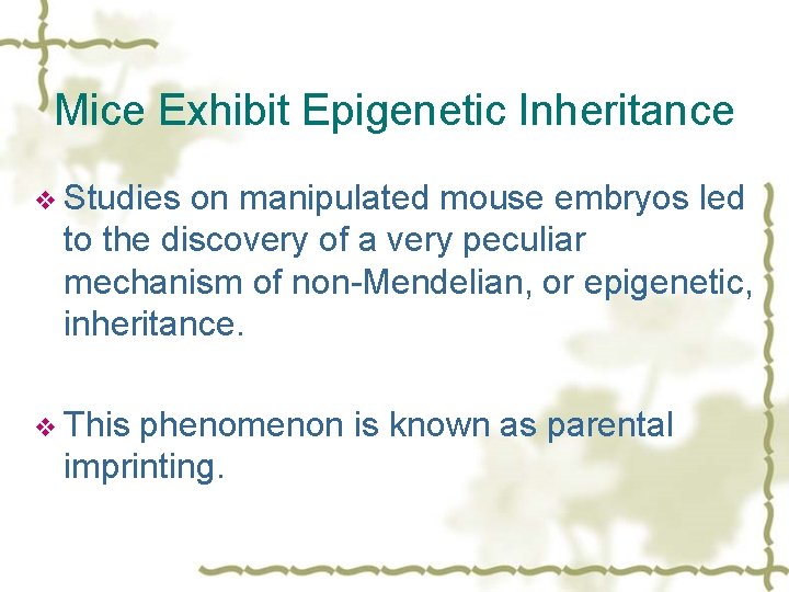 Mice Exhibit Epigenetic Inheritance v Studies on manipulated mouse embryos led to the discovery