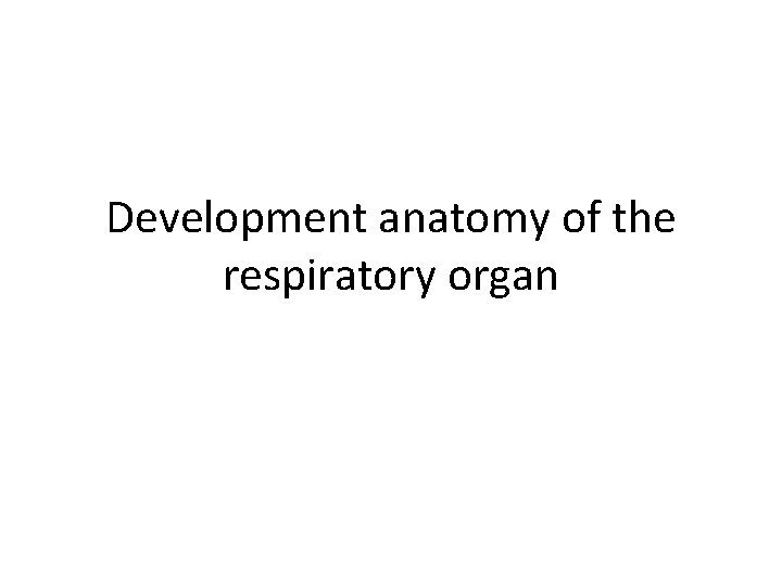 Development anatomy of the respiratory organ 