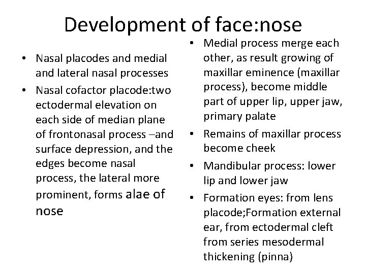 Development of face: nose • Nasal placodes and medial and lateral nasal processes •