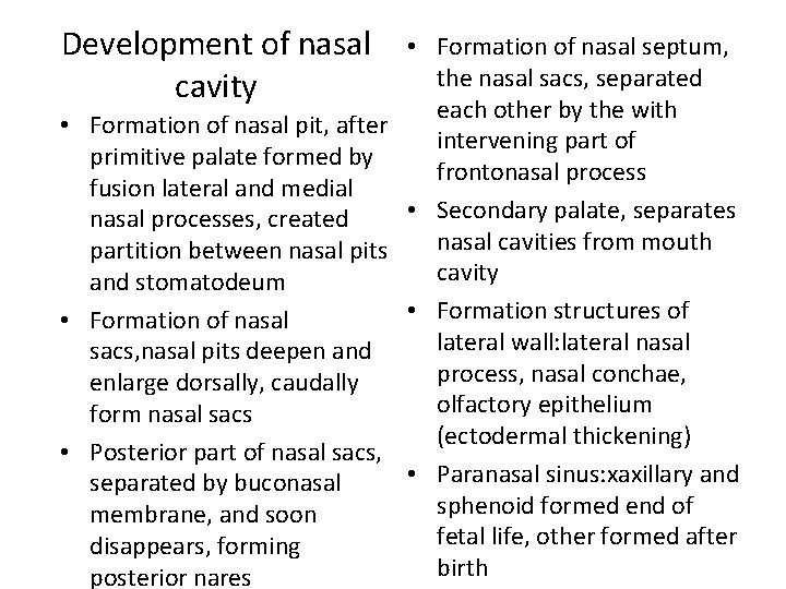 Development of nasal cavity • Formation of nasal septum, the nasal sacs, separated each