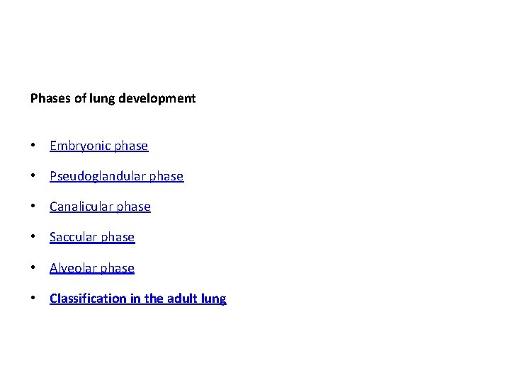 Phases of lung development • Embryonic phase • Pseudoglandular phase • Canalicular phase •