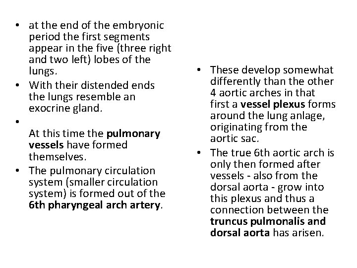  • at the end of the embryonic period the first segments appear in