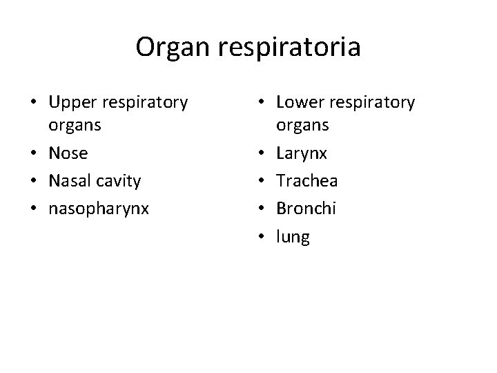 Organ respiratoria • Upper respiratory organs • Nose • Nasal cavity • nasopharynx •