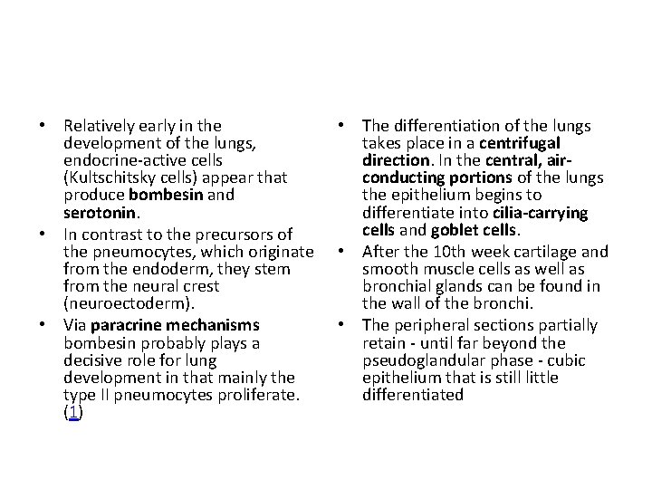  • Relatively early in the development of the lungs, endocrine-active cells (Kultschitsky cells)