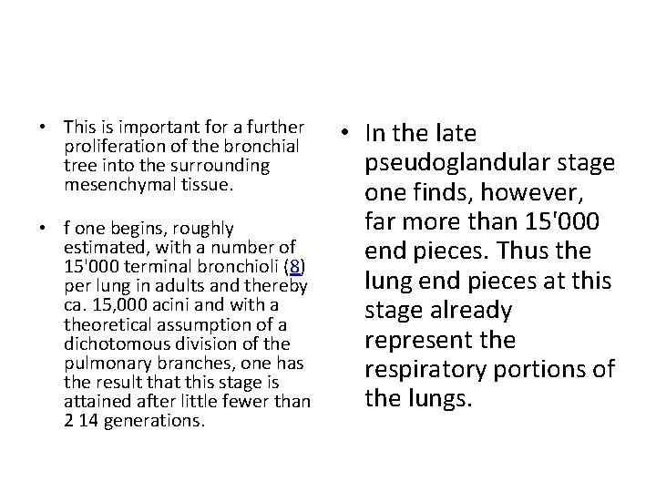  • This is important for a further proliferation of the bronchial tree into