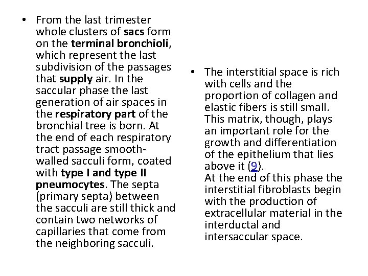  • From the last trimester whole clusters of sacs form on the terminal