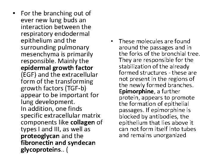  • For the branching out of ever new lung buds an interaction between