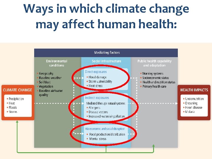 Ways in which climate change may affect human health: 25 