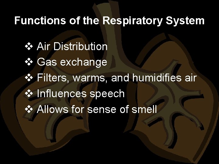Functions of the Respiratory System v Air Distribution v Gas exchange v Filters, warms,
