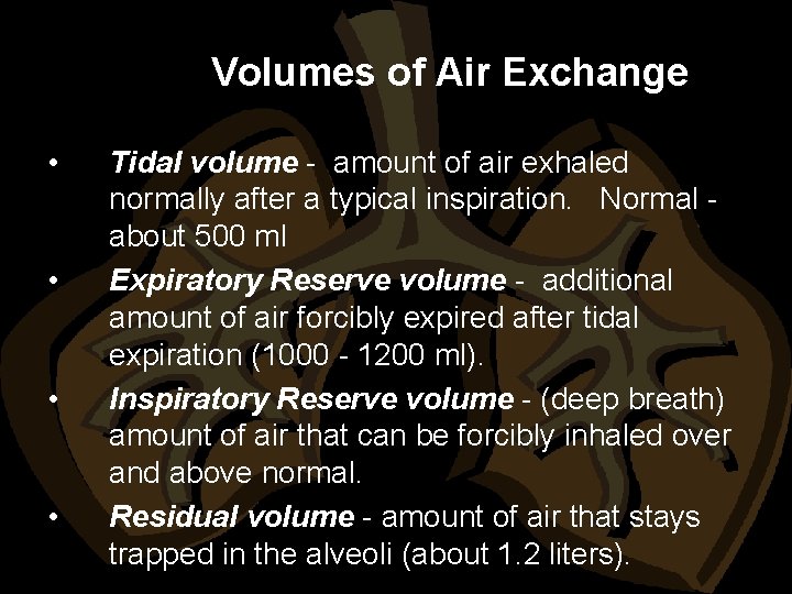Volumes of Air Exchange • • Tidal volume - amount of air exhaled normally