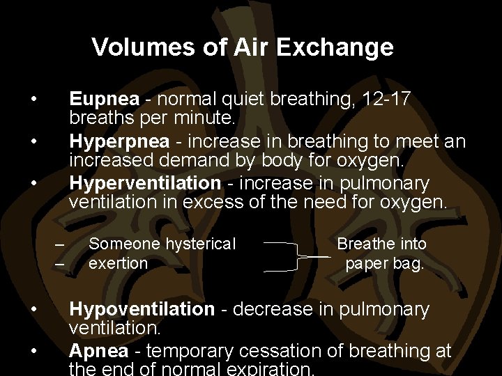 Volumes of Air Exchange • Eupnea - normal quiet breathing, 12 -17 breaths per