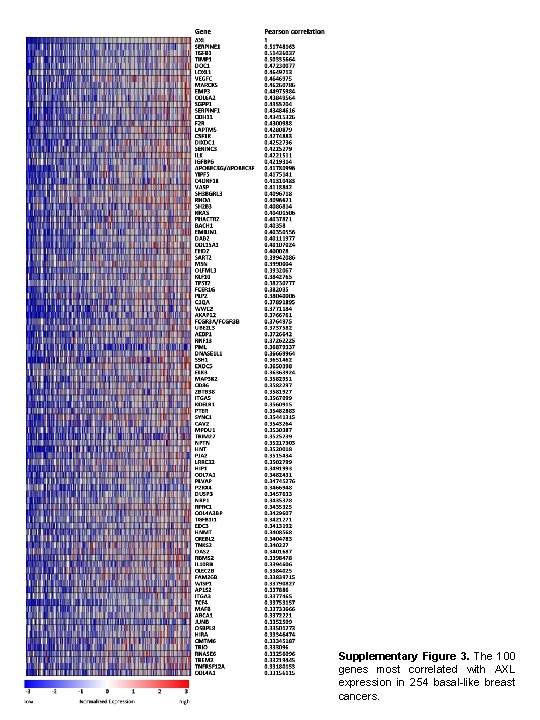 Supplementary Figure 3. The 100 genes most correlated with AXL expression in 254 basal-like