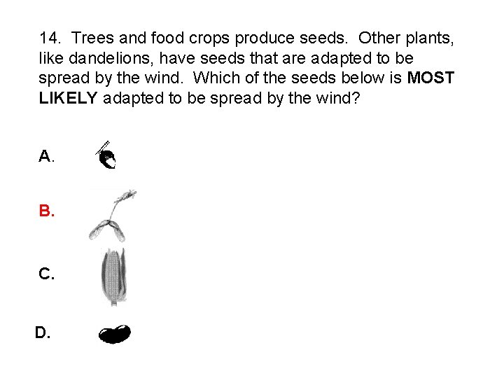 14. Trees and food crops produce seeds. Other plants, like dandelions, have seeds that
