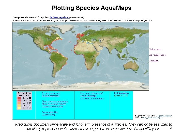 Plotting Species Aqua. Maps Predictions document large-scale and long-term presence of a species. They