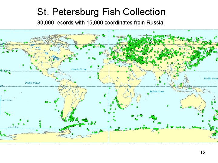 St. Petersburg Fish Collection 30, 000 records with 15, 000 coordinates from Russia 15