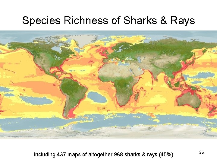 Species Richness of Sharks & Rays Including 437 maps of altogether 968 sharks &