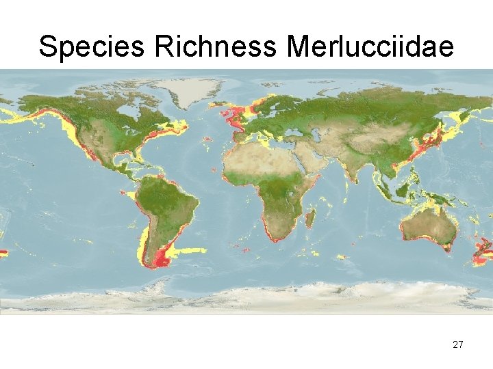Species Richness Merlucciidae 27 
