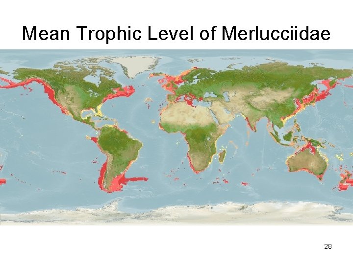 Mean Trophic Level of Merlucciidae 28 