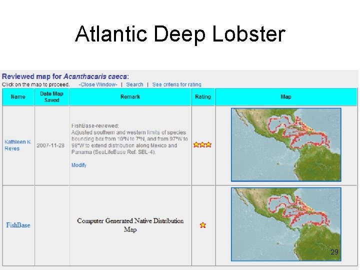 Atlantic Deep Lobster 29 