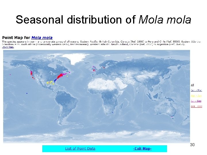 Seasonal distribution of Mola mola 30 