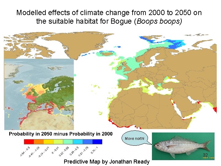 Modelled effects of climate change from 2000 to 2050 on the suitable habitat for