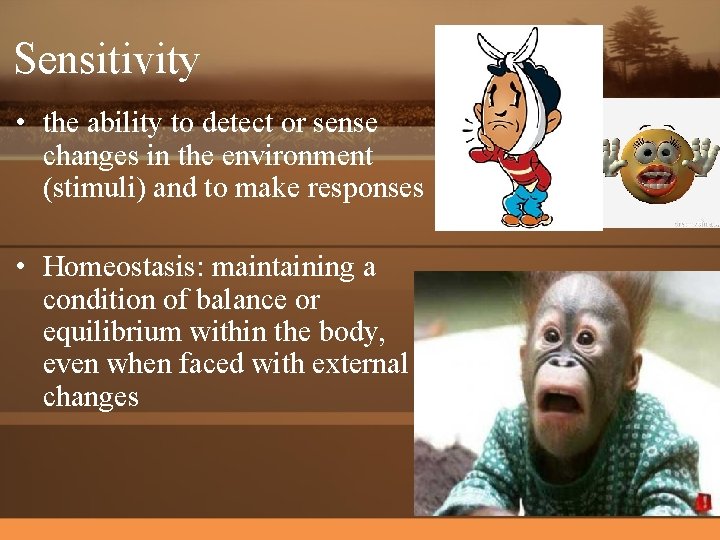 Sensitivity • the ability to detect or sense changes in the environment (stimuli) and