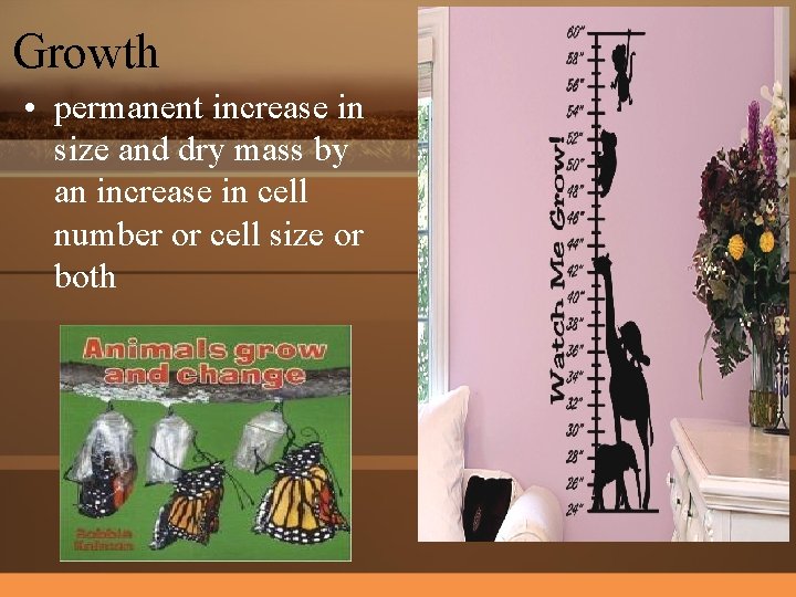 Growth • permanent increase in size and dry mass by an increase in cell