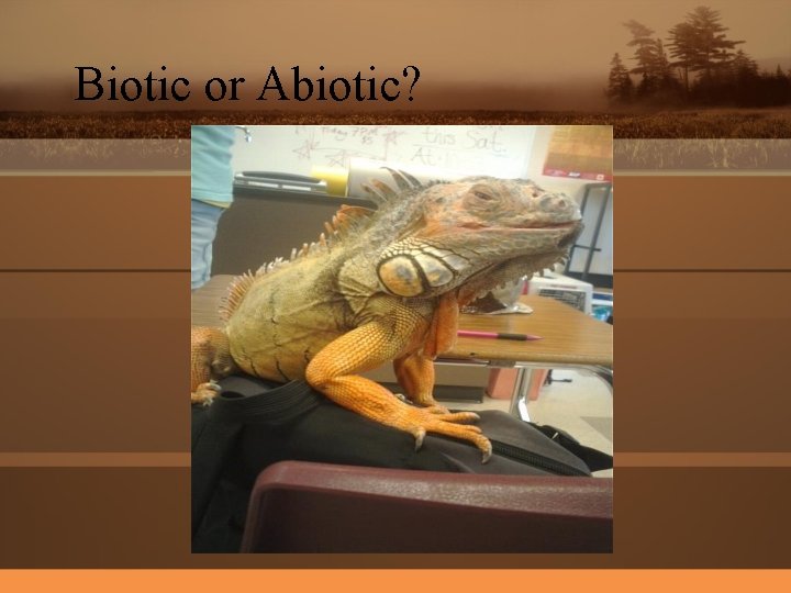 Biotic or Abiotic? 