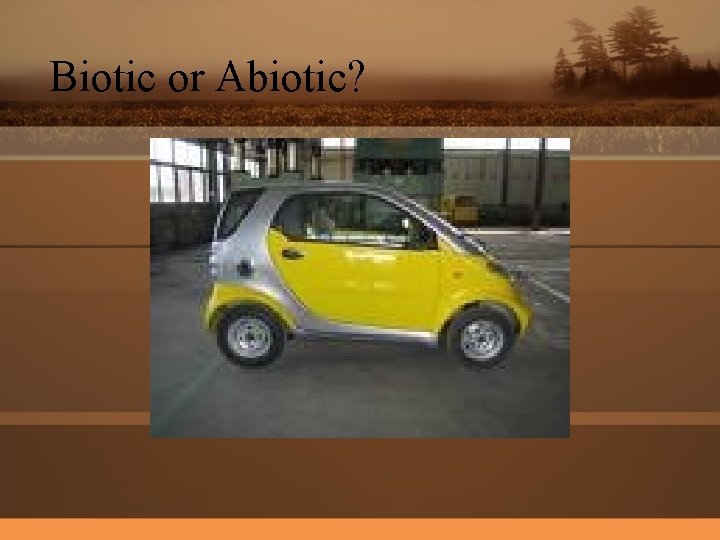 Biotic or Abiotic? 