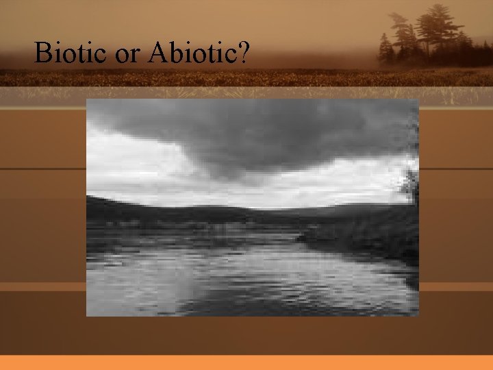 Biotic or Abiotic? 