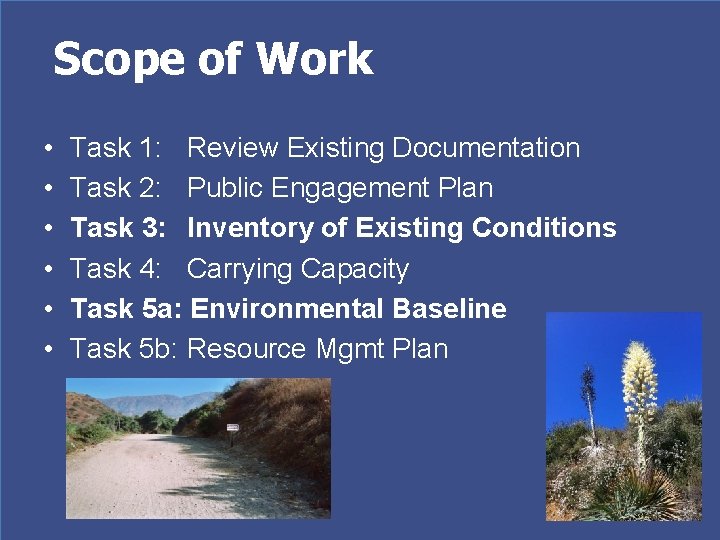 Scope of Work • • • Task 1: Review Existing Documentation Task 2: Public