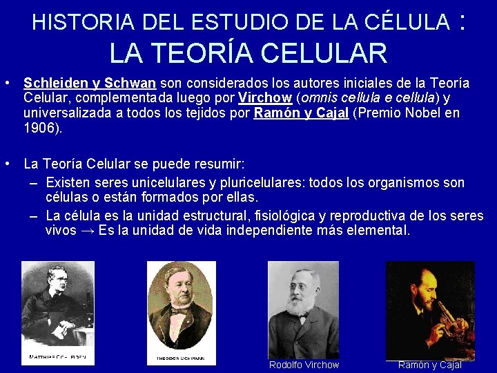 A Teoria Celular Proposta Por Schleiden E Schwann Afirma Que