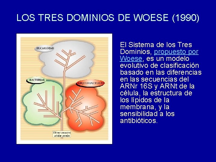 LOS TRES DOMINIOS DE WOESE (1990) El Sistema de los Tres Dominios, propuesto por