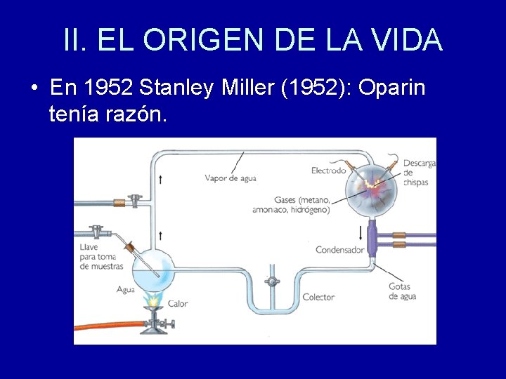 II. EL ORIGEN DE LA VIDA • En 1952 Stanley Miller (1952): Oparin tenía