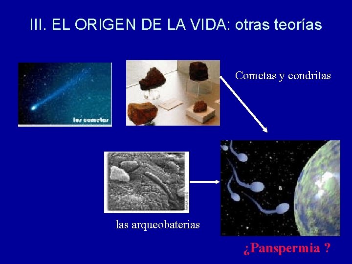 III. EL ORIGEN DE LA VIDA: otras teorías Cometas y condritas las arqueobaterias ¿Panspermia