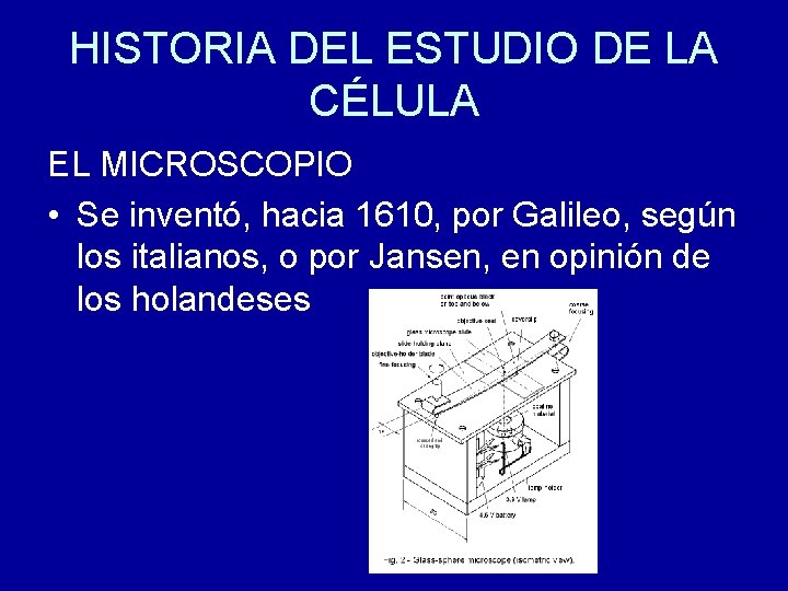 HISTORIA DEL ESTUDIO DE LA CÉLULA EL MICROSCOPIO • Se inventó, hacia 1610, por