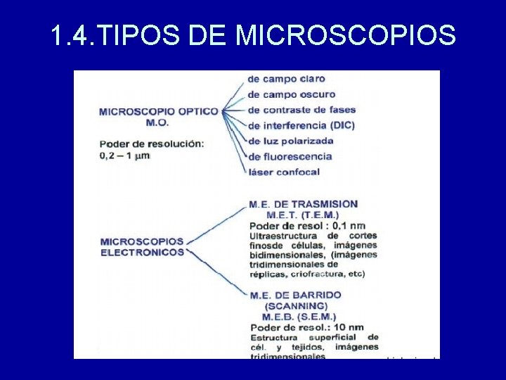 1. 4. TIPOS DE MICROSCOPIOS 