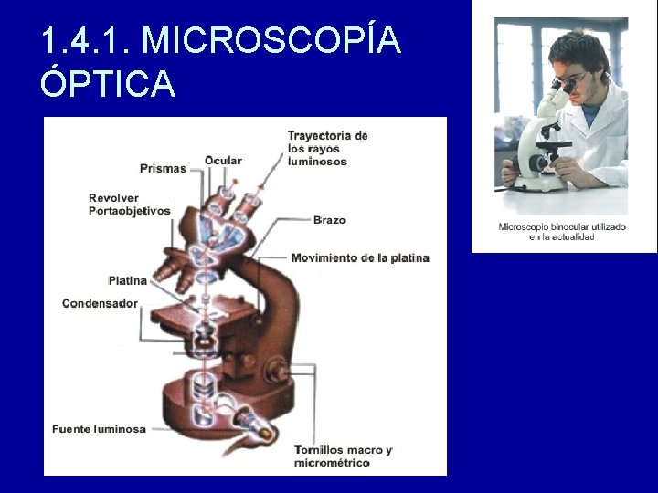 1. 4. 1. MICROSCOPÍA ÓPTICA 